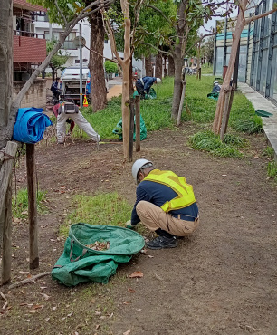 作業内容紹介（造園関連）