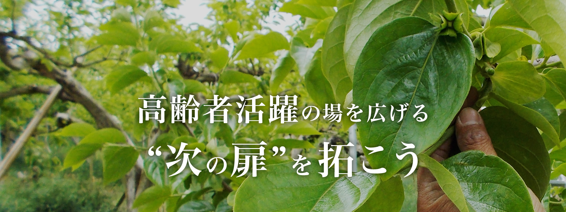 高齢者活躍の場を広げる“次の扉”を拓こう シニア歓迎の求人募集しております。寮住み込み可能。高齢者の方を歓迎しております。